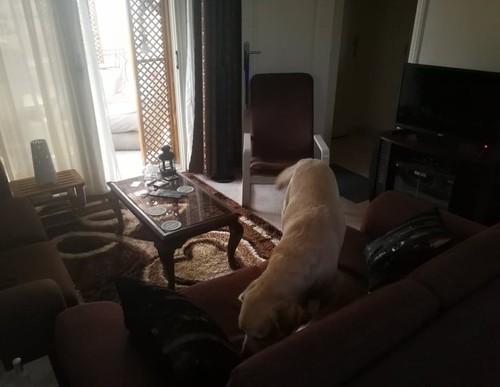 Fantastische Villa te koop in Hurghada, Egypte