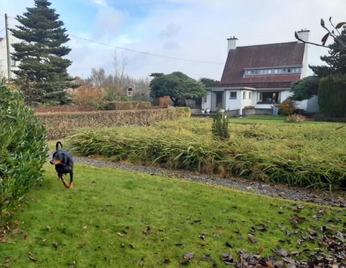 Zeer rustig gelegen projectgrond met adembenemend uitzicht aan de voet van de Vlaamse Ardennen!