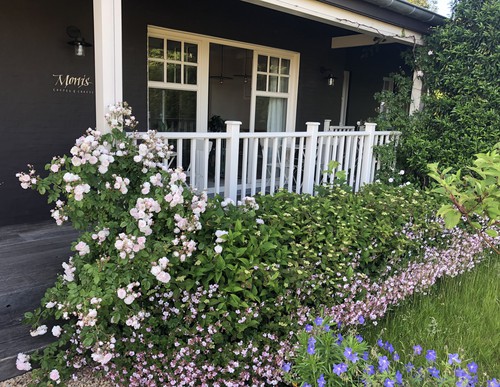 Sublieme eigendom (bouwjaar 2016) op een uiterst commerciële ligging te Oostkamp!