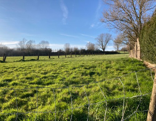 Buitenkans: zeer rustig gelegen bouwgrond met reeds goedgekeurd bouwplan te Brakel!