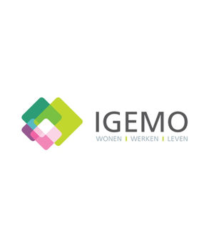 Logo igemo.be