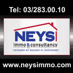 Logo neysimmo.com
